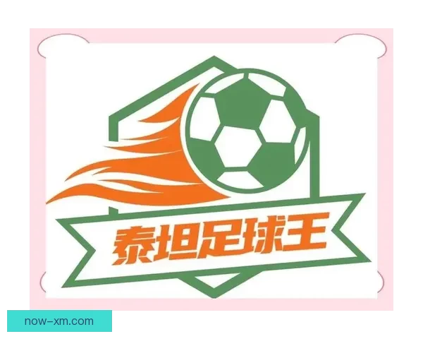 世界杯赛事全解析与精准竞猜预测攻略大公开